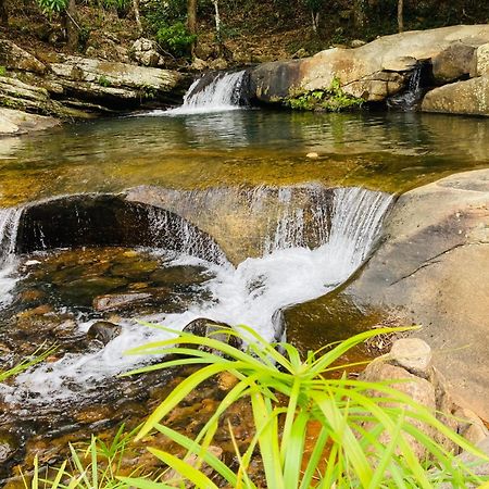 Pepper Garden Resort 엘라 외부 사진